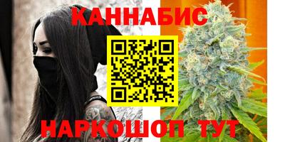 стафф Краснознаменск