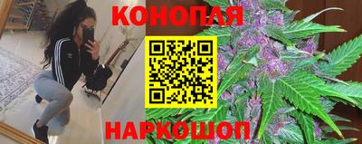 стафф Краснознаменск