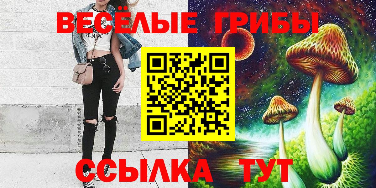 Галлюциногенные грибы MAGIC MUSHROOMS  Вход с VPN  Галлюциногенные грибы Psilocybe  Зеленокумск 